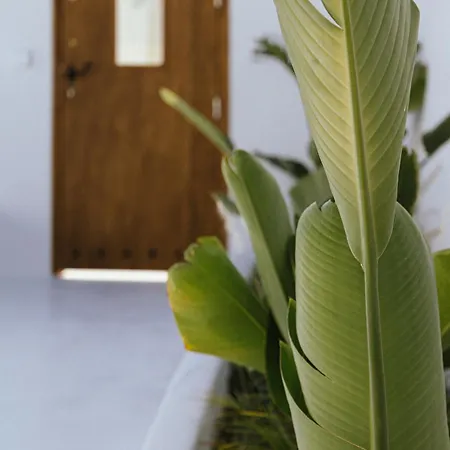 Апарт-отель Sea Whisper With Private Cycladic Patio And Heated Pool - Sea Side 4*